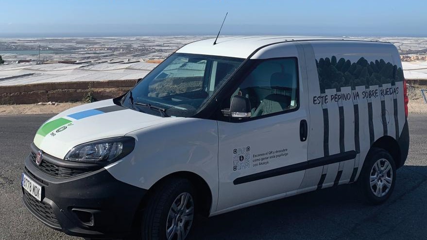 bejo iberica pepifurgo sorteo